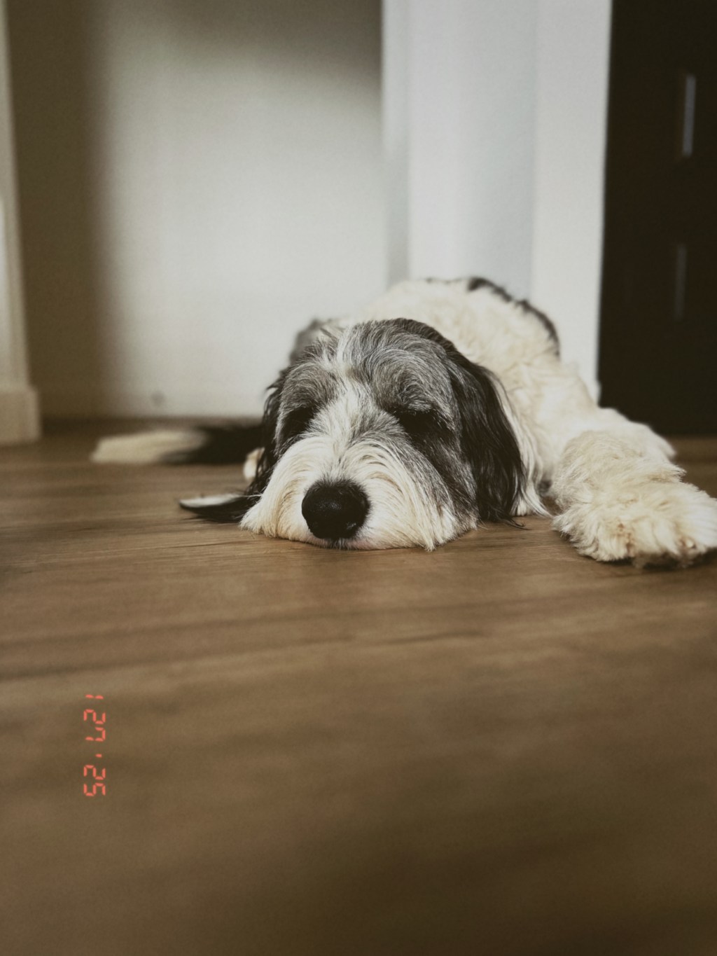 Something Old, Something&nbsp;New